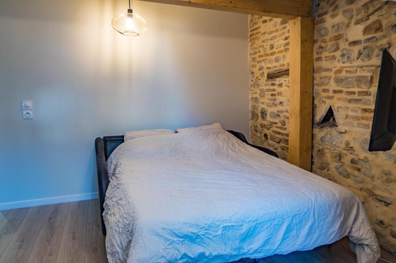 Appartement Sur Les Toits 2 Pieces Cocooning Grenoble Buitenkant foto