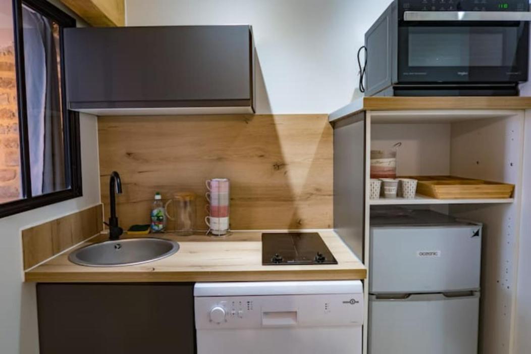Appartement Sur Les Toits 2 Pieces Cocooning Grenoble Buitenkant foto